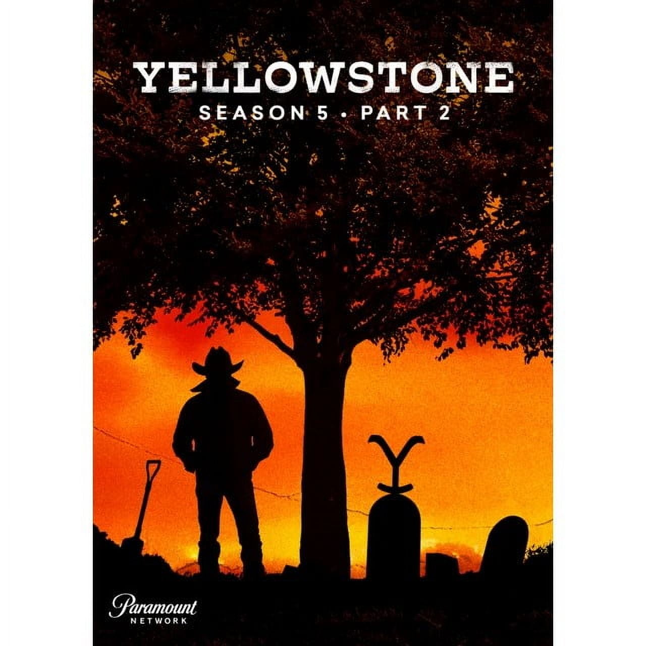 Yellowstone Season 5 Part 2 DVD | Paramount Drama Series | Official Release